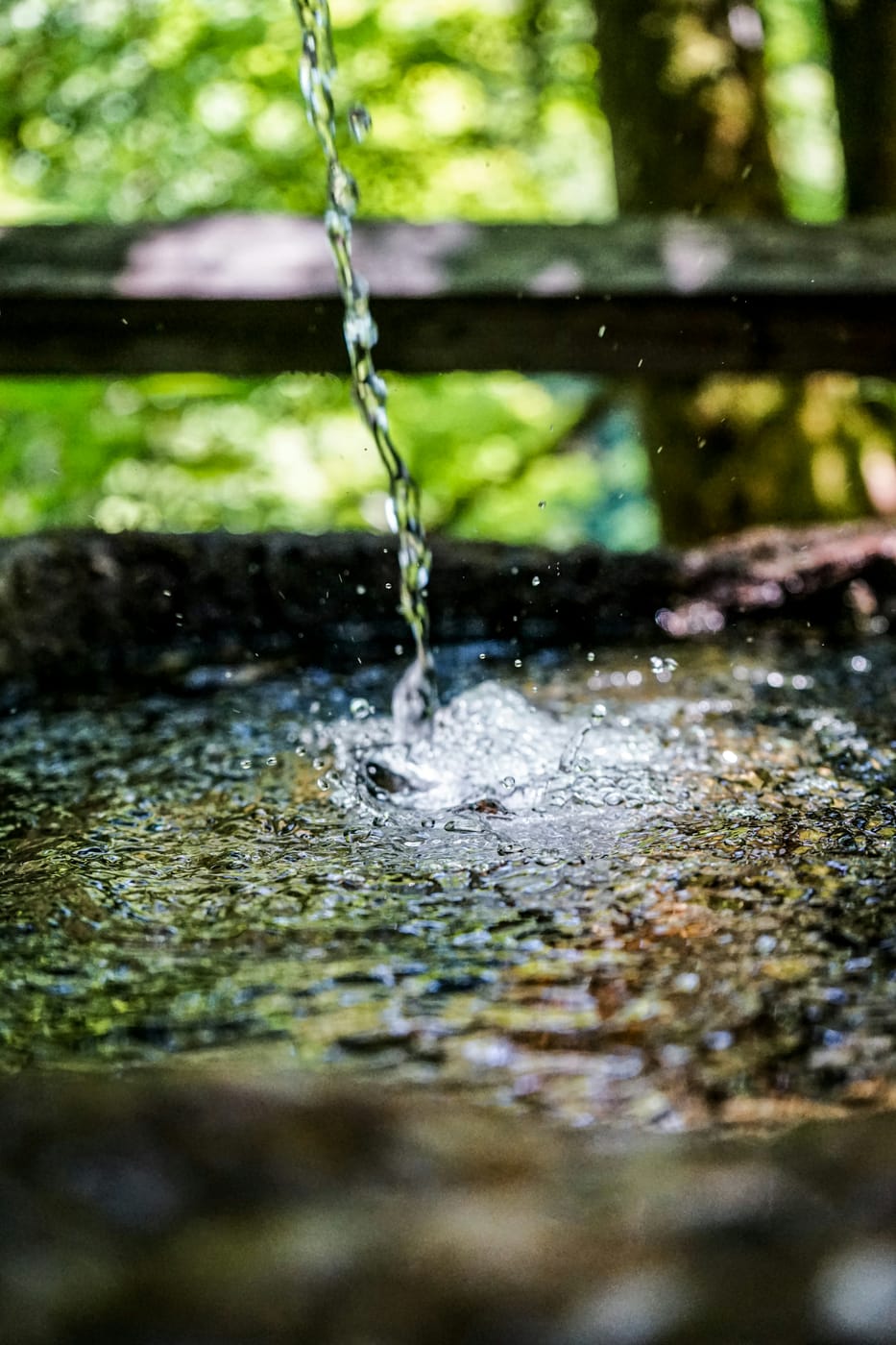 Clear spring water pouring into a stone basin in a forest