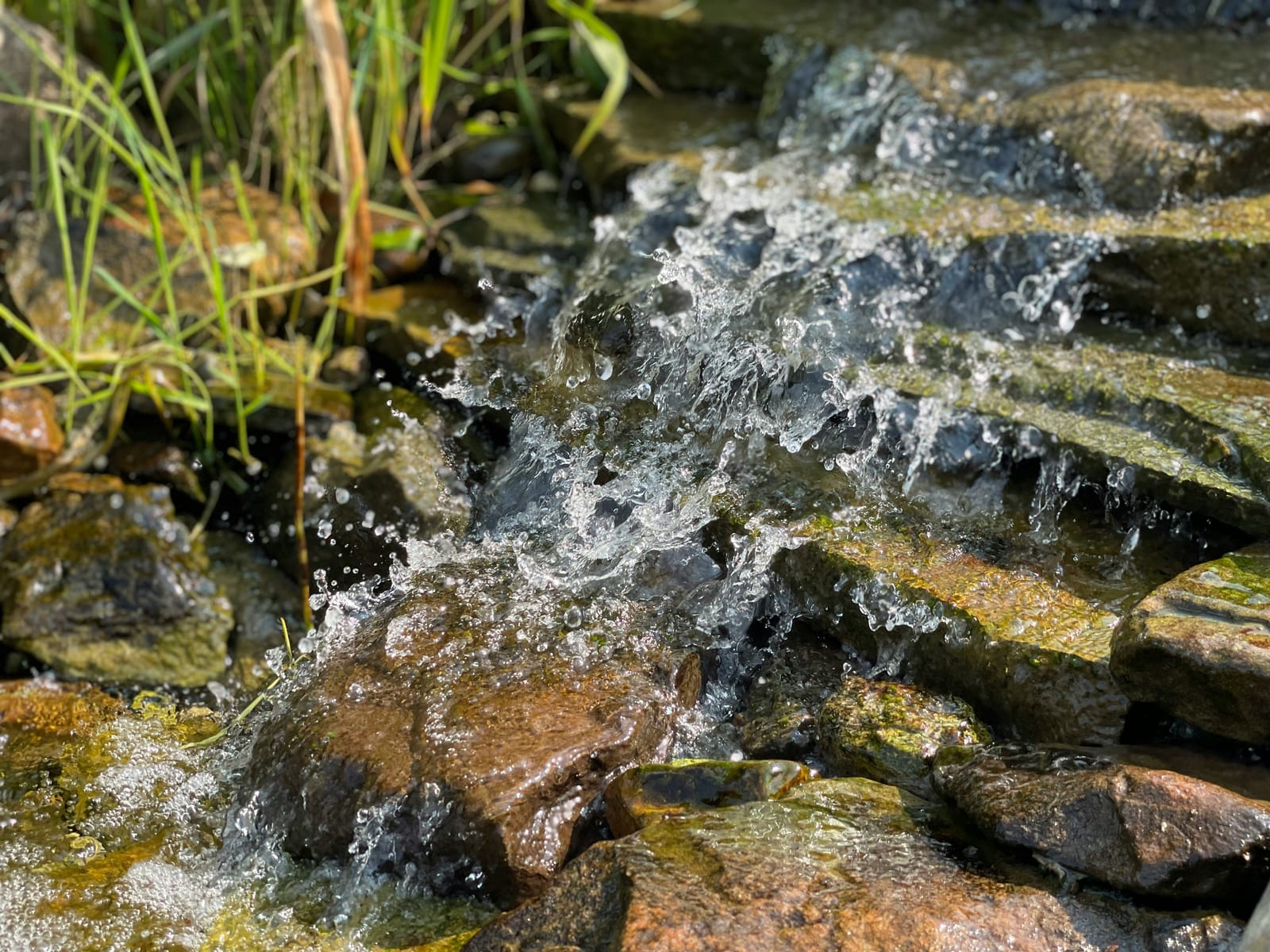Clear natural stream flowing over mossy rocks