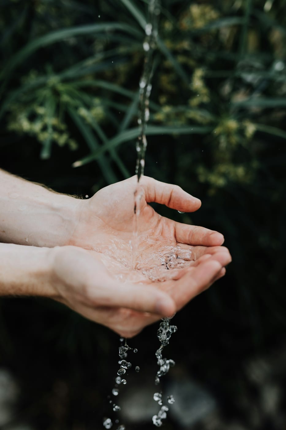 Hands cupping clean water beneath a running stream, surrounded by greenery