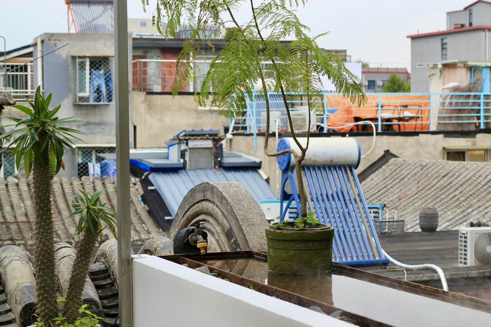 Close-up of a solar thermal water heating unit installed on a rooftop